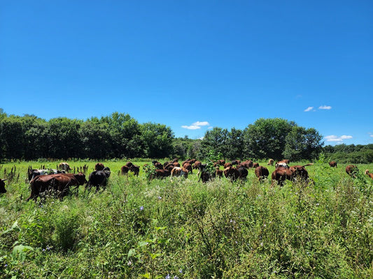 Do pasture-raised animals damage the environment?