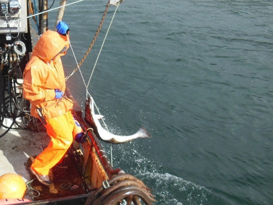 Why we sell wild-caught seafood from Alaska in the Midwest