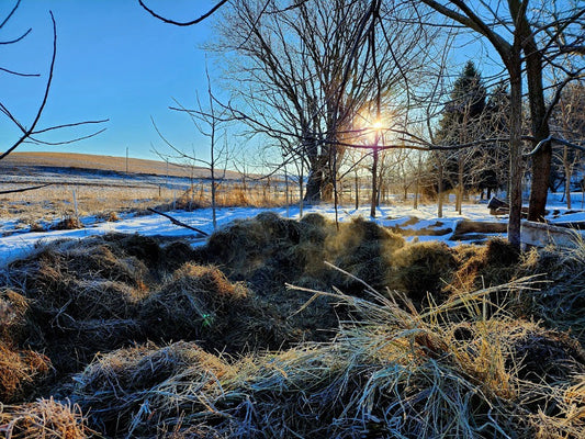 Creating heat in the middle of winter with active composting
