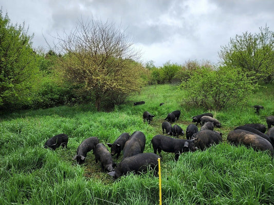 Is your farm organic?