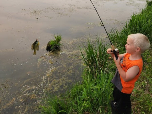 The power of regenerative agriculture: safeguarding water quality and preserving fish habitats