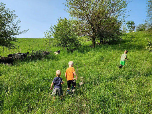 Regenerative agriculture vs. fake meat brands: looking for truth behind ethical food production