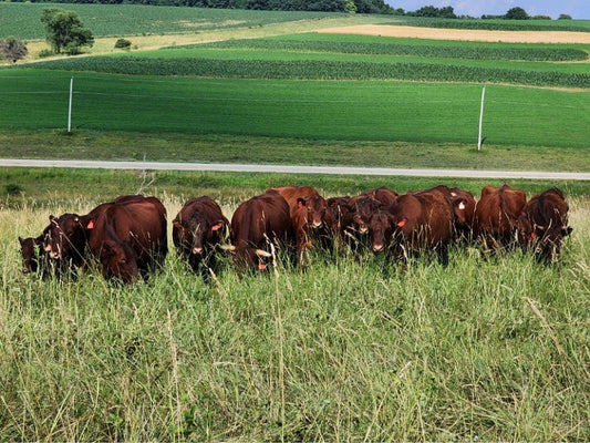 How important is it to protect and nurture the soil?