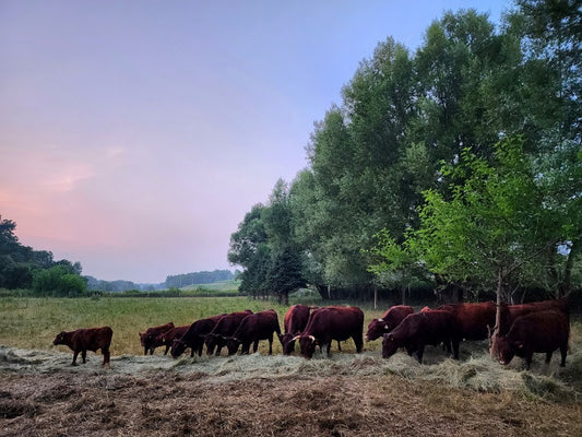 In a drought, the farm's soil comes first